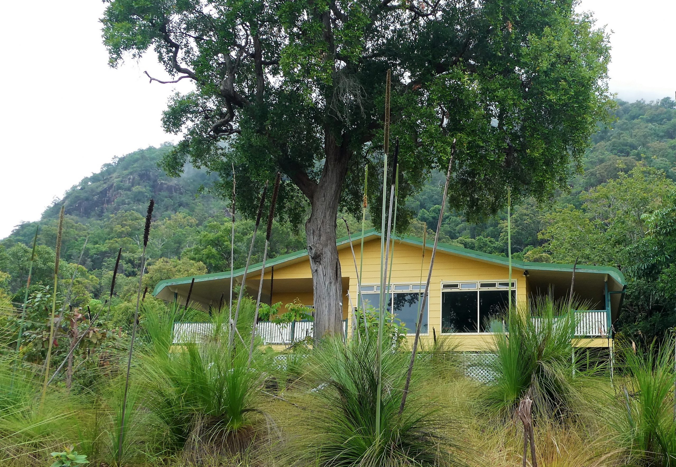 Ingham Vista Hinchinbrook Bed & Breakfast